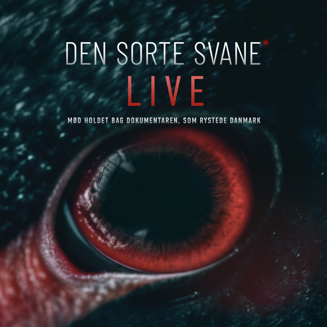 Den Sorte Svane Live 03. februar kl. 19:00